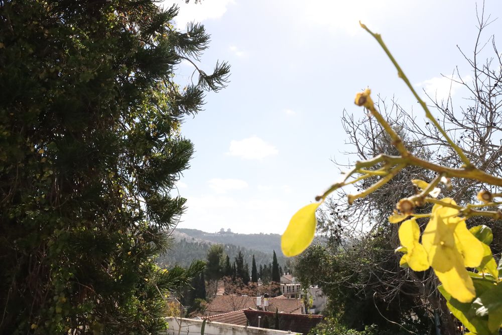 מהסמארטפון שלי